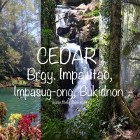 CEDAR, Impasug-ong, Bukidnon: A Perfect Side Trip After Climbing Panimahawa Ridge - Chasing Waterfalls And Hiking